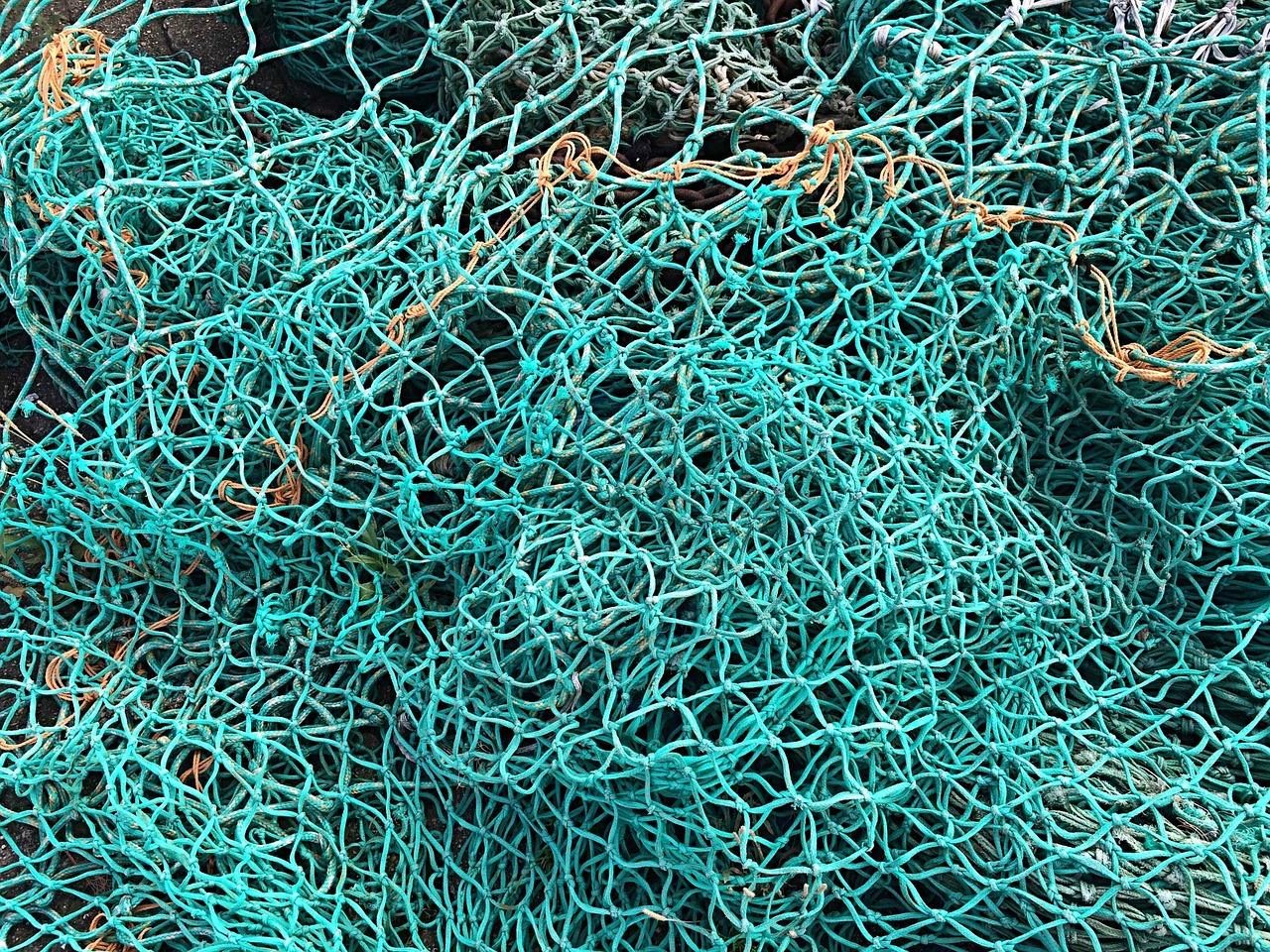 The Importance of Sustainable Fisheries